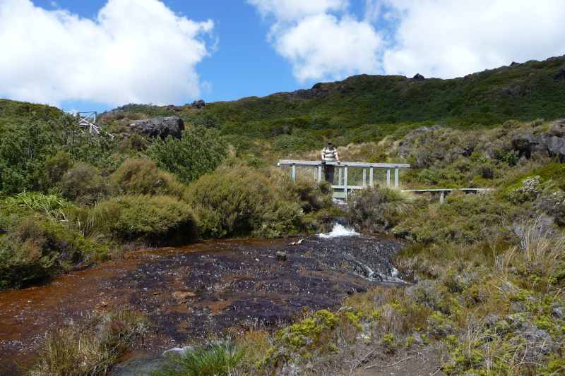 Nieuw-Zeeland 2011 - 0853